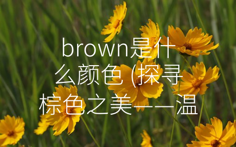 brown是什么颜色 (探寻棕色之美——温暖、神秘、高贵的经典中性色调)