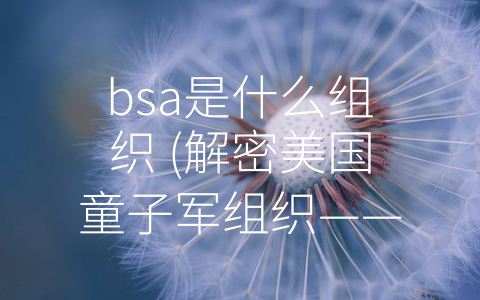 bsa是什么组织 (解密美国童子军组织——BSA是什么组织？)