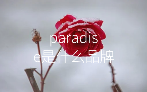paradise是什么品牌